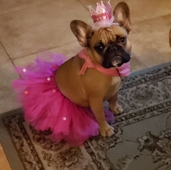 Meet your Posher, Annette - Picture 14 of 15